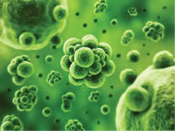 How to deal with mouth bacteria